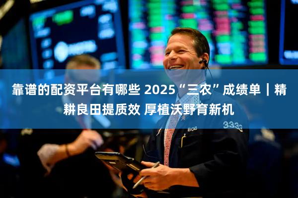 靠谱的配资平台有哪些 2025“三农”成绩单｜精耕良田提质效 厚植沃野育新机